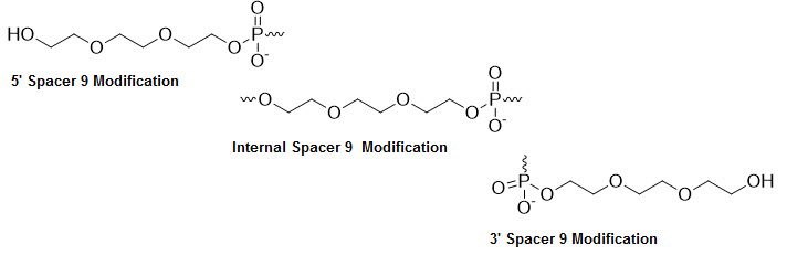 Bio-Synthesis Inc. Oligo Structure